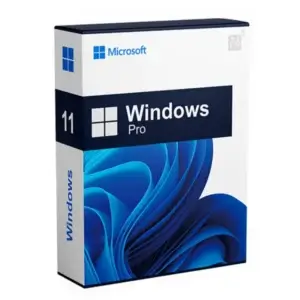 Windows 11 Professional Digital Licence